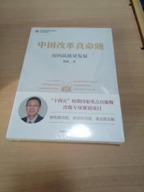 中国改革真命题：中国改革过程中，攻坚期和深水区后的难点和“卡脖子”问题