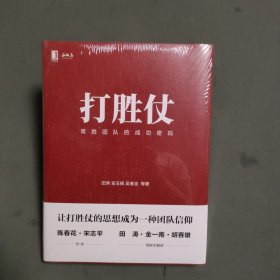 打胜仗:常胜团队的成功密码