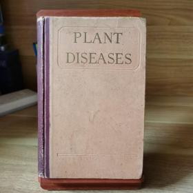 PLANT DISEASES 植物病