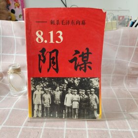 8.13阴谋