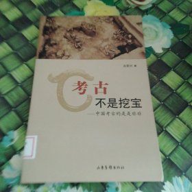 考古不是挖宝：中国考古的是是非非 馆藏 正版 无笔迹