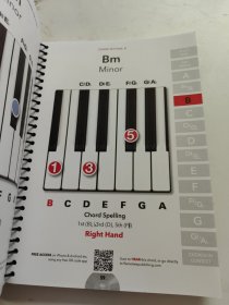 Complete Beginners Chords for Piano 钢琴初学者和弦