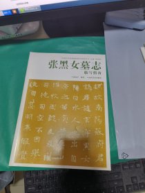 K (中国历代经典碑帖临写指南系列) 张黑女墓志