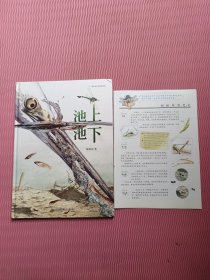 首届丰子恺优秀儿童图画书奖绘本：池上池下（随书附赠蜻蜓观察笔记）