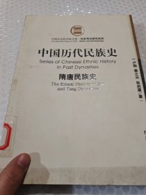 中国历代民族史（隋唐民族史）