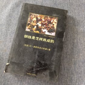 钢铁是怎样炼成的