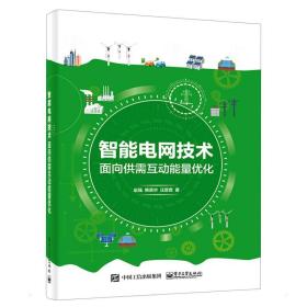 智能电网技术：面向供需互动能量优化