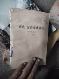 赛查.皮罗多盛衰记