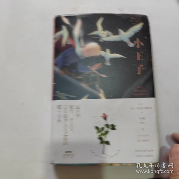 小王子全新彩插译本著名图文创作者李彬十年精心绘制