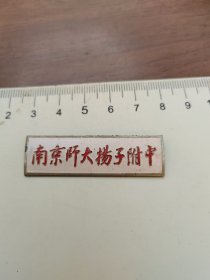 南京师大扬子附中学校徽章