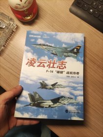 经典战史回眸·兵器系列·凌云壮志：F－14“雄猫”战机传奇