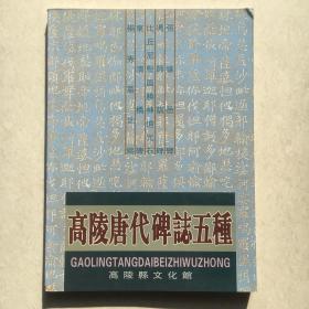 高陵唐代碑志五种