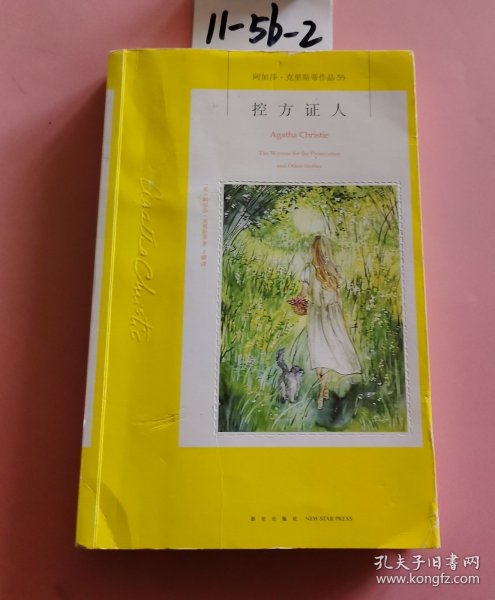 阿加莎·克里斯蒂作品55：控方证人
