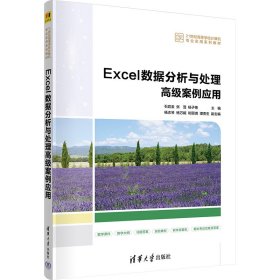 Excel数据分析与处理高级案例应用