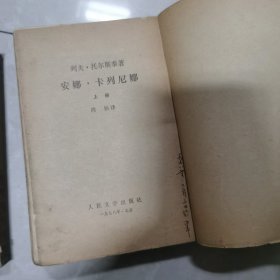 安娜.卡列尼娜上下册