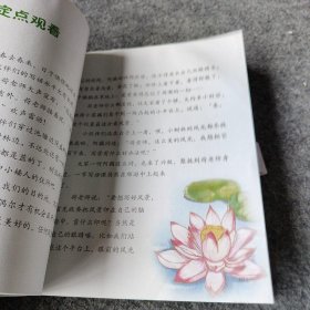 小莲藕学写话：作文起步轻松写百字的42堂课（下）