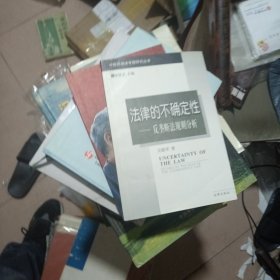 法律的不确定性：反垄断法规则分析——中国民商法专题研究丛书