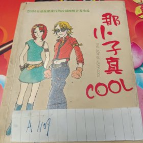 那小子真COOL