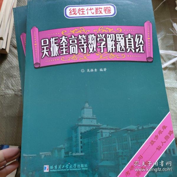 吴振奎高等数学解题真经：线性代数卷