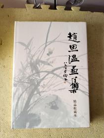 赵思温画集（8开精装，全新未阅新书 ）