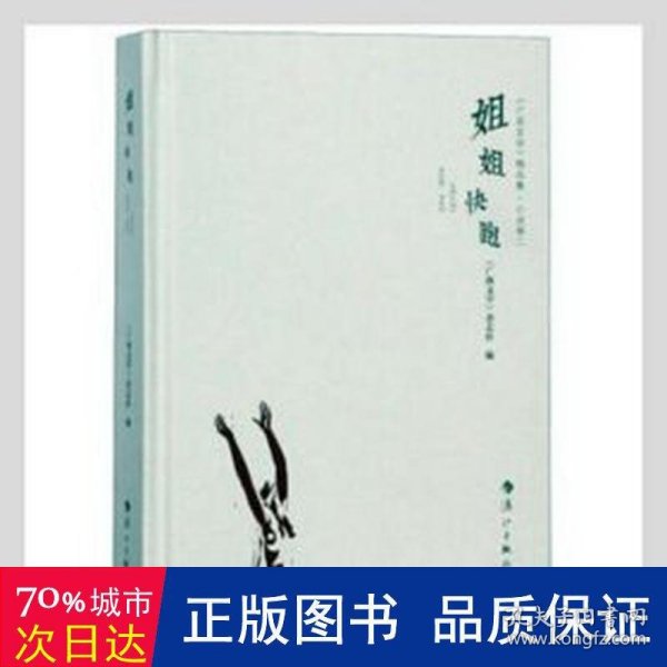 姐姐快跑/广西文学精品集