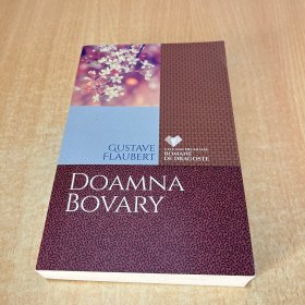 DOAMNA BOVARY