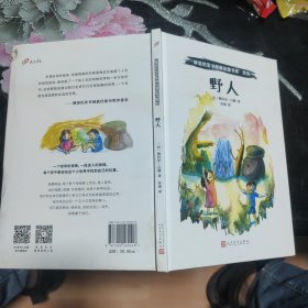 野人（比利时新锐插画家，荣获法国多项插画大奖！一个奇异的夜晚，一段迷人的旅程，每个孩子都会在这个小世界中找到自己的位置。）