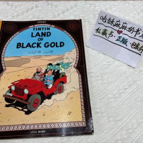 The Adventures of Tintin: Land of the Black Gold  丁丁历险记系列：黑金地带  