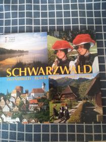 SCHWARZWALD