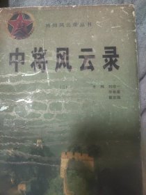 中将风云录(二）