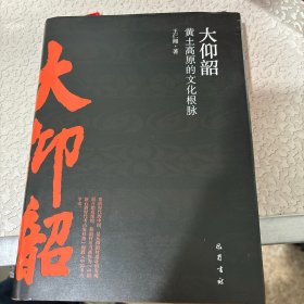 大仰韶黄土高原的文化根脉