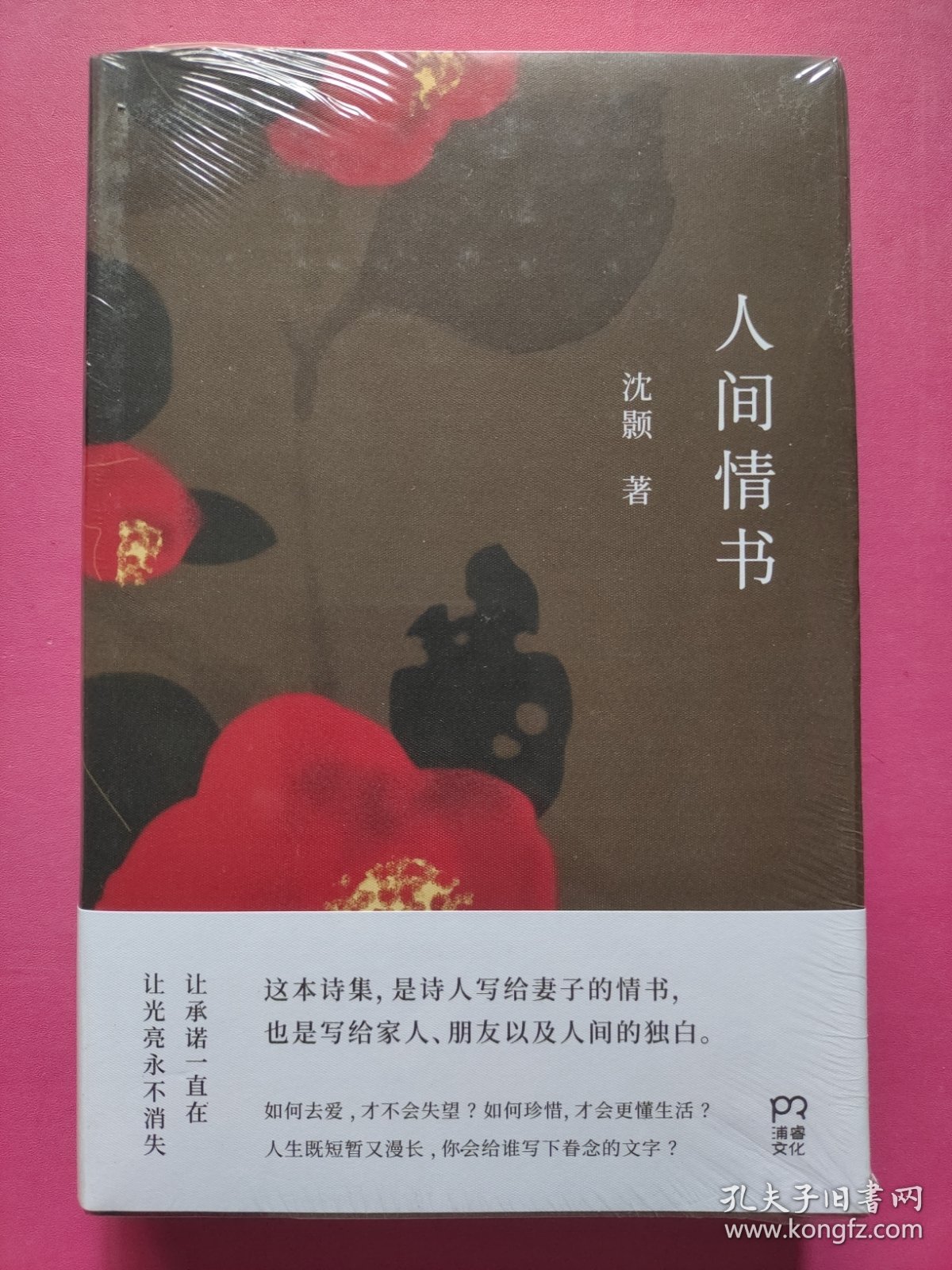 人间情书【浦睿文化出品】