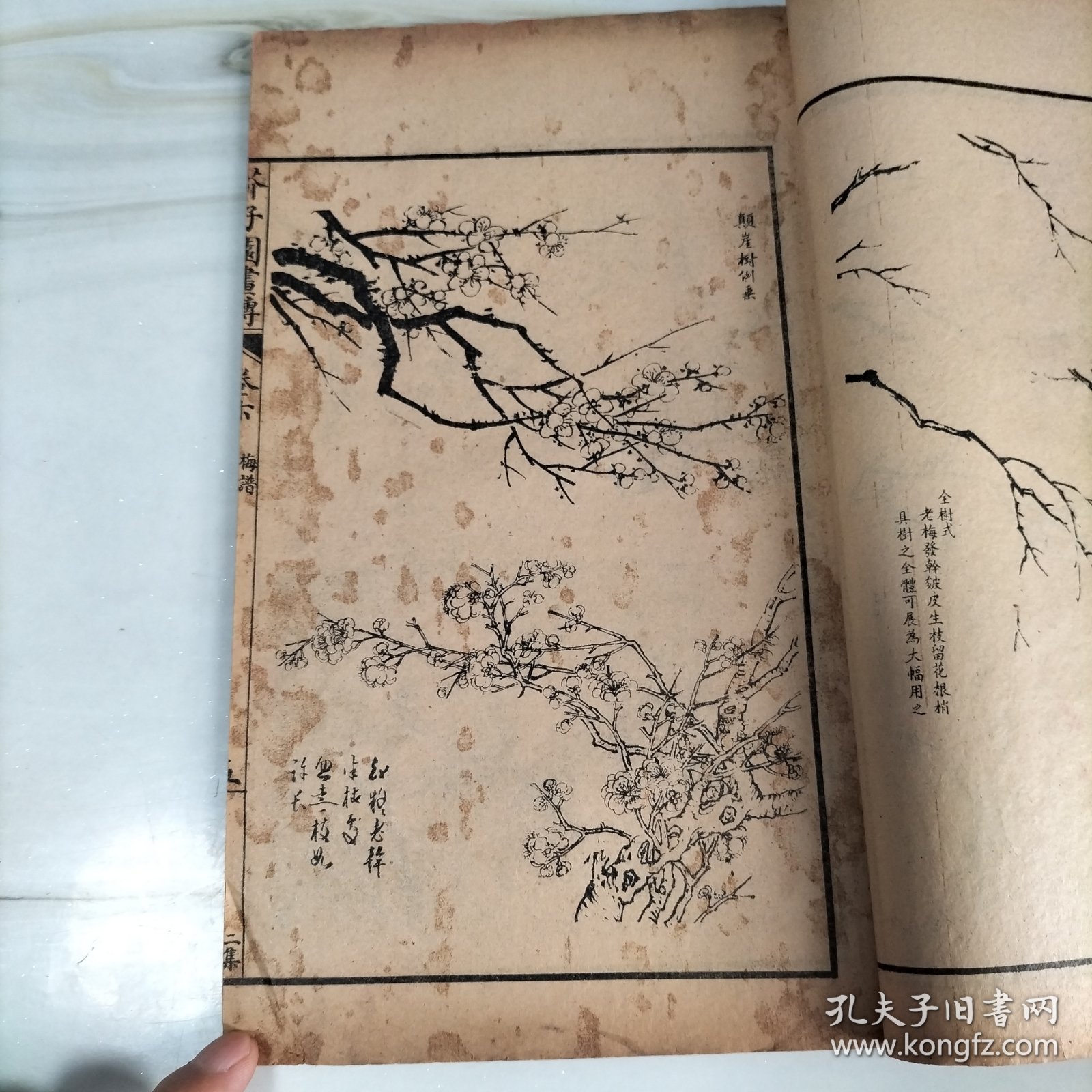 民国石印大开本《芥子园画傳二集》梅谱第三册卷五六七八（完整一册）25.5*15.2
