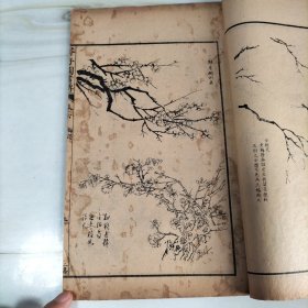 民国石印大开本《芥子园画傳二集》梅谱第三册卷五六七八（完整一册）25.5*15.2