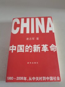 中国的新革命：1980-2006年，从中关村到中国社会