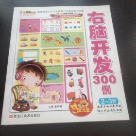 左脑开发300例，含光盘