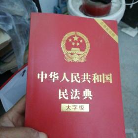 中国人民共和国民法典（大字版）