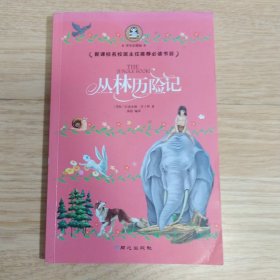 丛林历险记