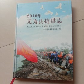 2016年无为县抗洪志