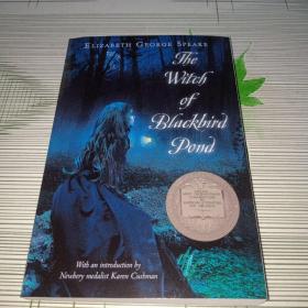 The Witch of Blackbird Pond