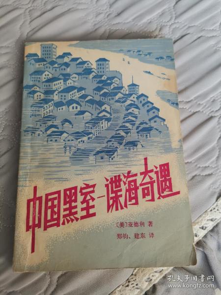 中国黑室谍海奇遇