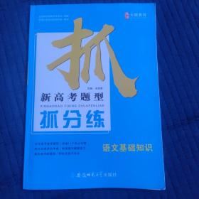 新高考题型抓分练 语文基础知识