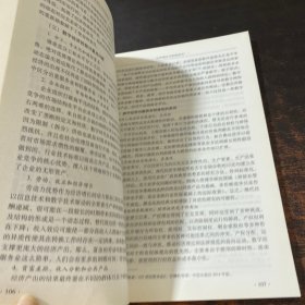 全球化与中国经济（第四辑）