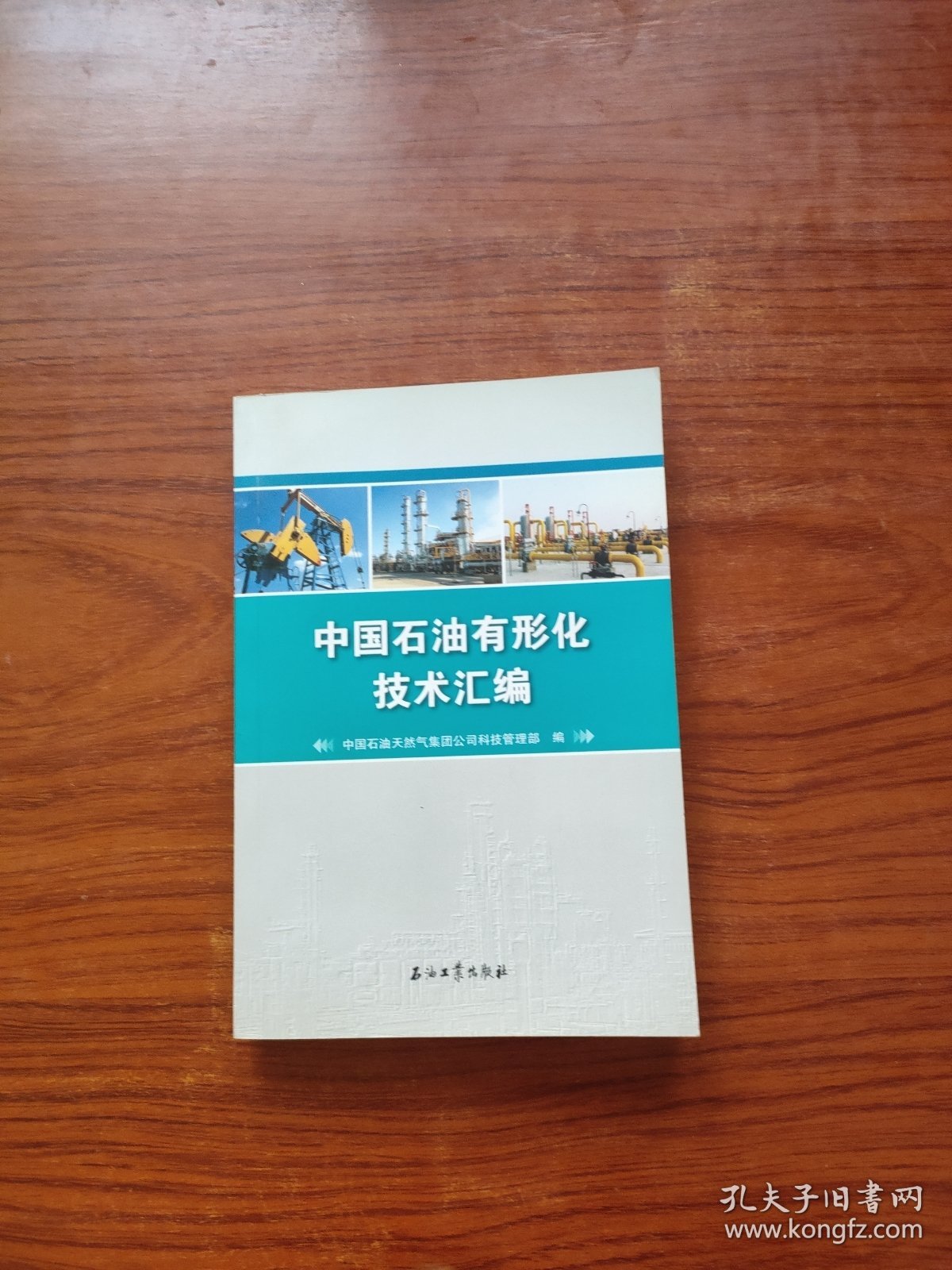 中国石油有形化技术汇编