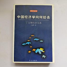 中国经济学向何去:丁文锋经济文选