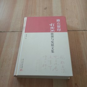 踏石留印：程回洲能源与发展文集