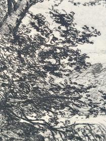 1891年 原创蚀刻凹版画《莱茵河畔之火山口湖》-德国画家、版画家、雕版师 波恩哈德・曼菲尔德(Bernhard Mannfeld)作品、纸张尺寸39x29cm