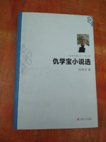 仇学宝小说选