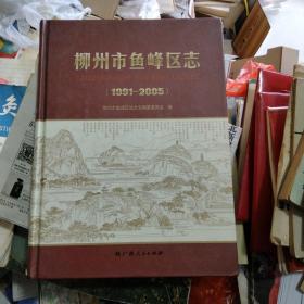 柳州市鱼峰区志（1991～2005）（有一碟）