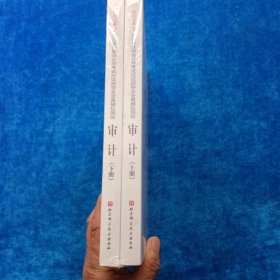 轻松过关1 2020年注册会计师考试应试指导及全真模拟测试 审计（全新未拆封）